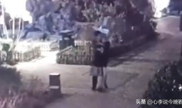 河北吃瓜爆料事件视频曝光,视频曝光事件引发热议