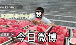 猎奇吃瓜爆料视频在线看,在线观看爆料视频的惊悚之旅