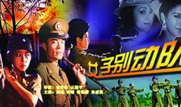 女子别动队电视剧,铁血女兵的荣耀征程
