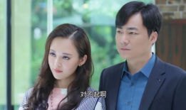 梅花儿香电视剧,电视剧梅花儿香温情回顾