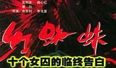 红蜘蛛电视剧第一部,权谋与爱情的纠葛
