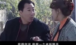 电视剧农村,农村生活的变迁与梦想