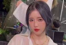 吃瓜明星爆料直播视频大全,吃瓜明星爆料直播视频大汇总