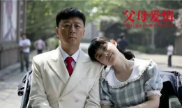 父母爱情电视剧,岁月流转中的家庭温情与时代变迁