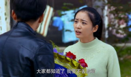 电视剧福根进城,农村青年奋斗记