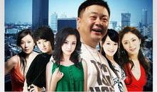 二哥 电视剧,兄弟情深，共度风雨