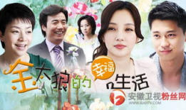 幸福生活电视剧,描绘现代家庭温馨画卷
