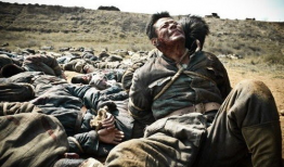 南京保卫战电视剧,生死存亡的激战岁月