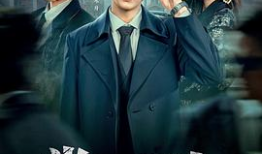 电视剧vip,揭秘会员专属的精彩世界