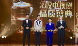 电视剧盛典,璀璨星光下的荣耀瞬间