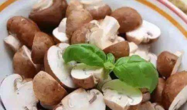 蘑菇吃瓜料爆料可信吗,可信度分析揭秘