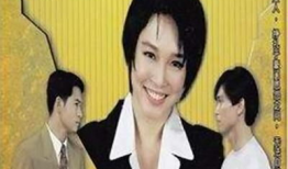 电视剧新加坡,繁华都市中的传奇人生