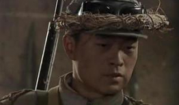 雪豹 电视剧,雪域雄狮的传奇征程